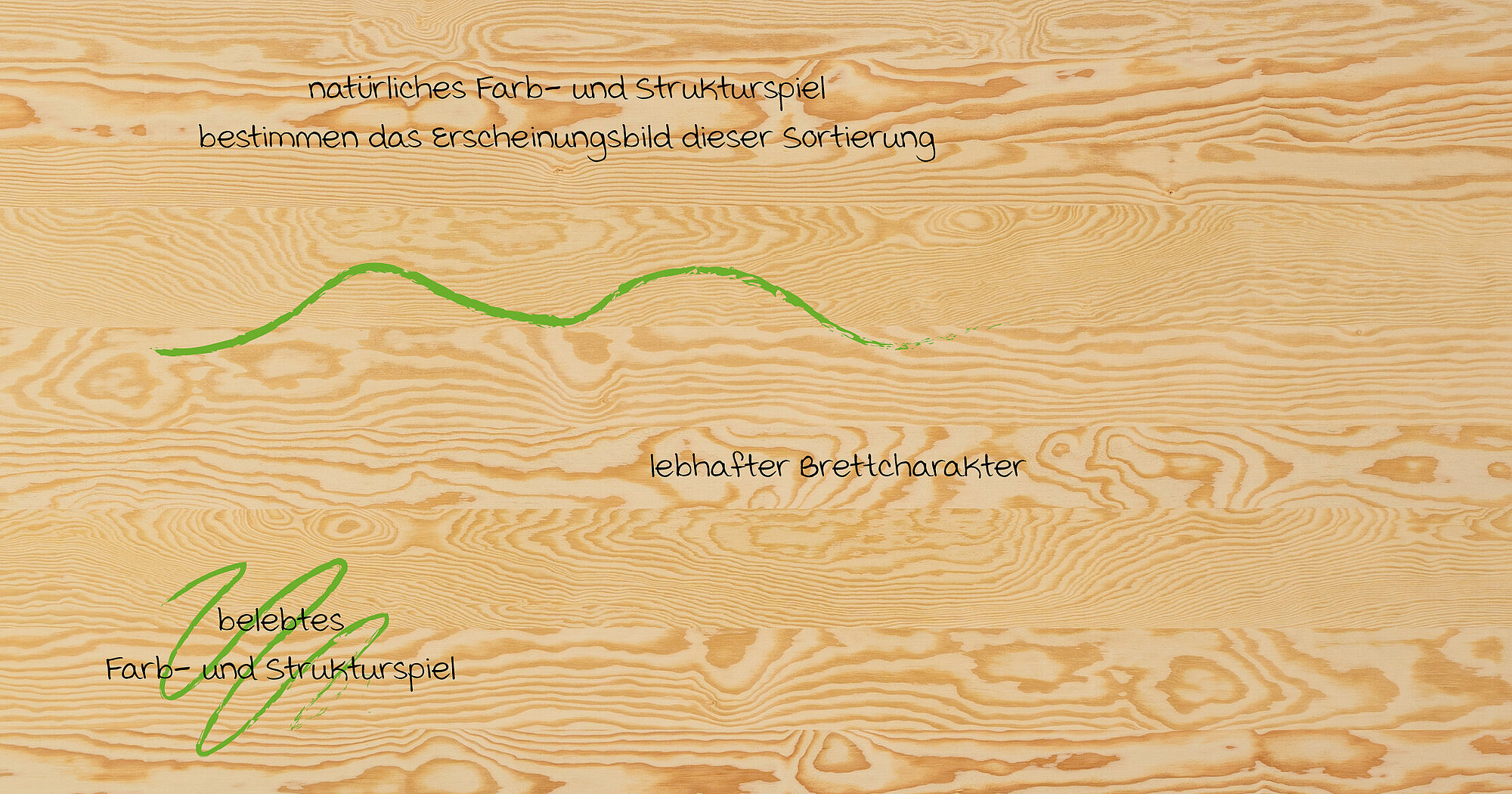 Seekiefer Streifen N: RoHol Kollektionen
