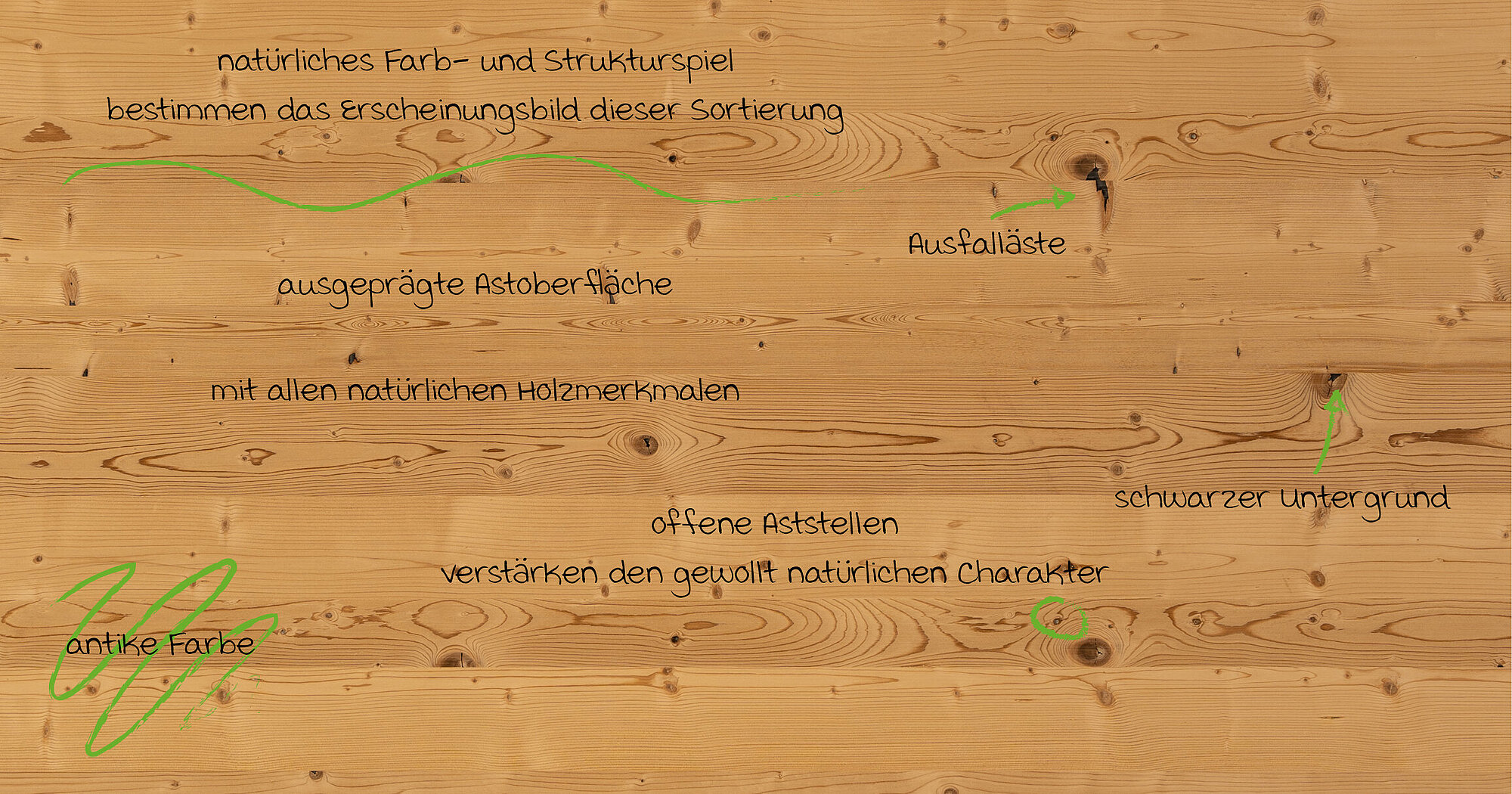 Fichte Astig Bronce+ N: RoHol Kollektionen